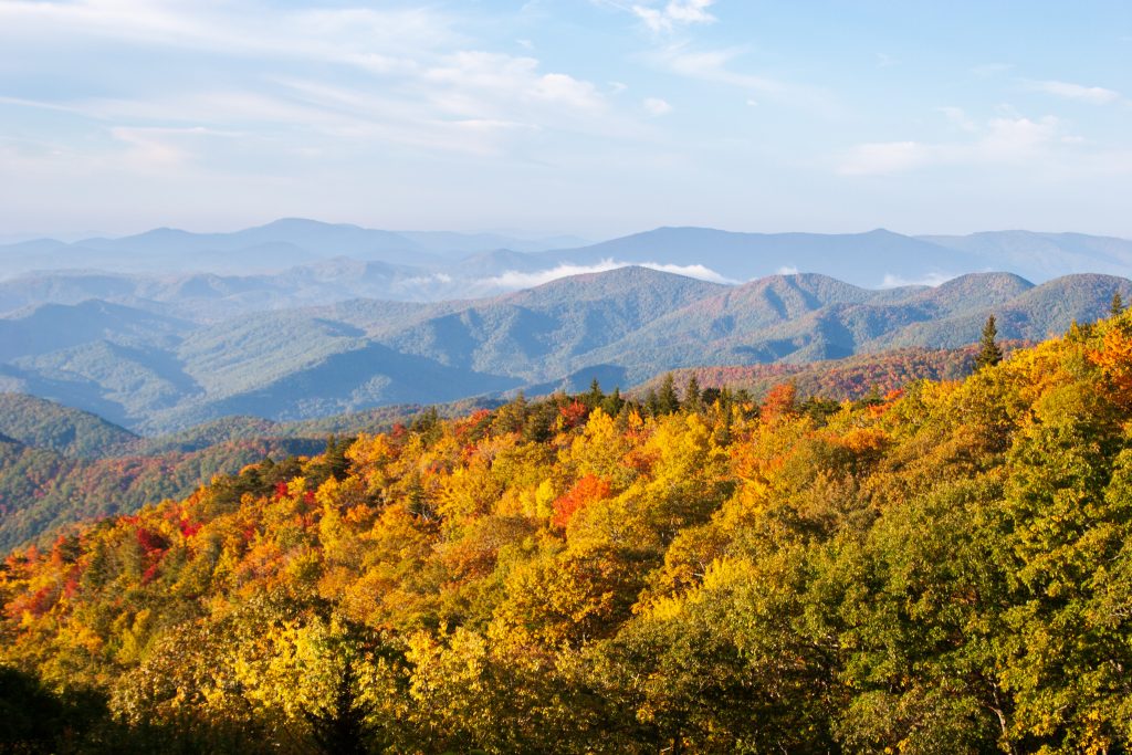 Fall leaves Blue Ridge Parkway