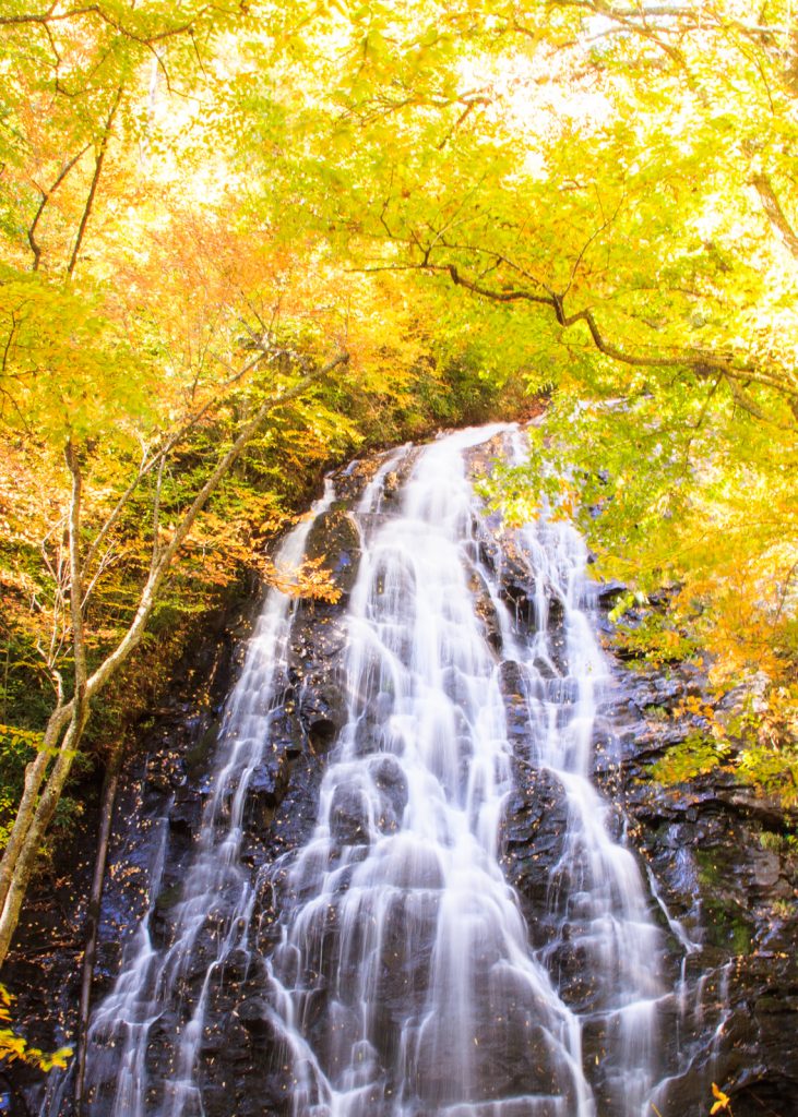 Linville falls autumn leaves